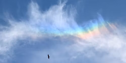 House Concert Heartsongs, Improvised Bliss 