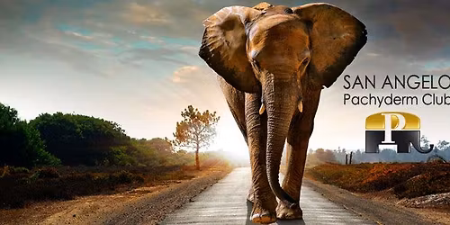 Pachyderm Club w\/ DON HUFFINES