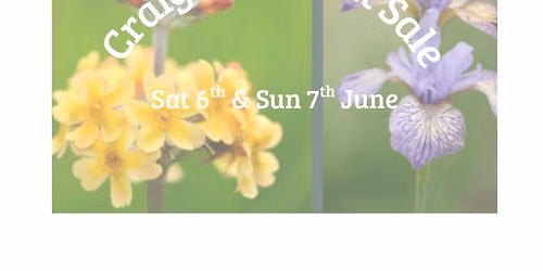 Craigtoun Plant Sale 