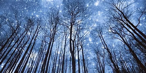 A Midsummer Night's Dream Summer Solstice Overnight Sound Bath Celebration