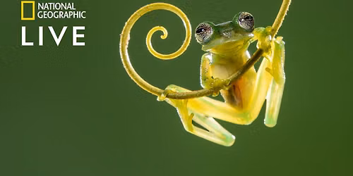 National Geographic Live: Weird World of Frogs with Dr. Jodi Rowley