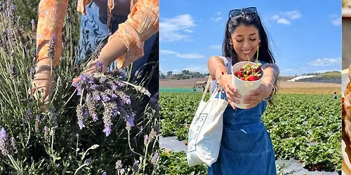 Breakfast at the Farm! @ Mellano Farm Stand, Oceanside 