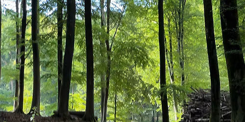 Kalven - B\u00f8strup Depot 7,5 km