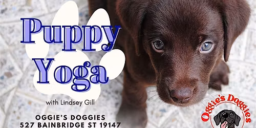 Puppy Yoga at Oggie's Doggies