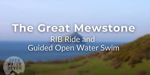 The Great Mewstone Swim Tour - accessed by RIB Ride