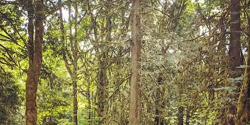 Cheakamus Centre Professional Development Workshop
