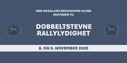 Rallylydighetsstevne i Stavanger 8. og 9. november