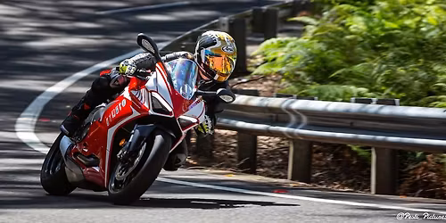 Pesti's Sunday Extravaganza!