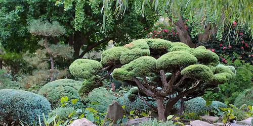 Seeding Creative Ideas at Himeji Gardens - Nature Festival 2026