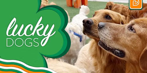 St. Patrick's Day Party and Photoshoot!