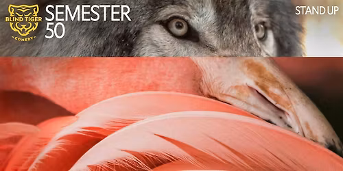 Stand Up Taster with Sasha Sunday May 17