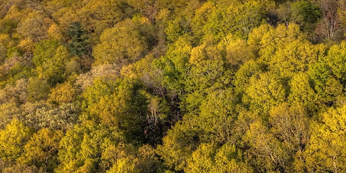 Tour the Frederic Church\u2019s Olana with Thomas Woltz \u2013 What\u2019s Out There Weekend with The Cultural Land