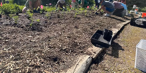 Social Gardening