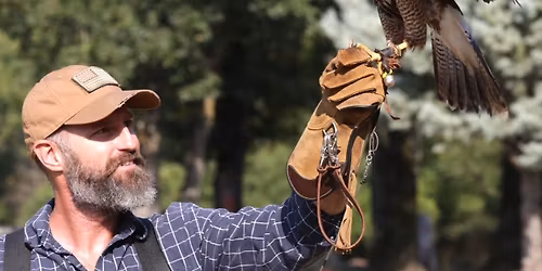 Birds of Prey Program