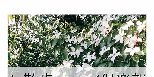 \u304a\u6563\u6b69\u30cf\u30fc\u30d6\u5036\u697d\u90e8\uff5e\u590f\u306e\u68ee\u6563\u6b69