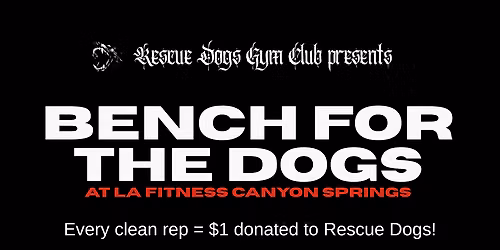 RDGC: Bench For The Dogs