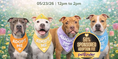 \ud83c\udf37\ud83d\udc36 Pitties Are In full Bloom Adoption Event\ud83d\udc36\ud83c\udf37