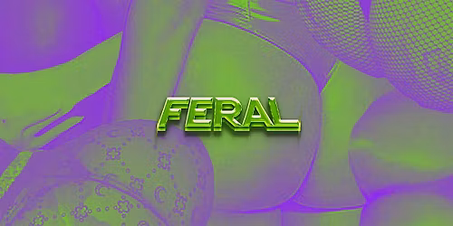 FERAL - ASSQUAKE | Boston's LGBTQ Rager!!