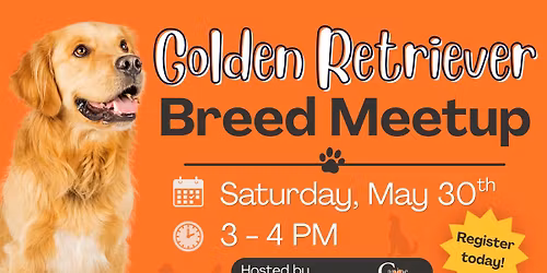 Golden Retriever Breed Meetup