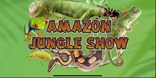 Meet the Amazon Jungle Creatures at Ormeau Road Library Family Fun Day