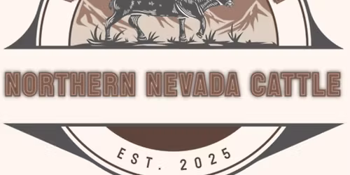 Team Sorting Practice & Jackpot