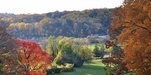 City Nature Challenge: Hillside BioBlitz