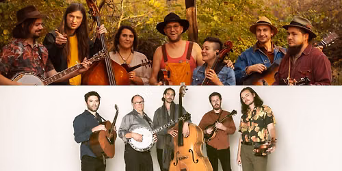 Chicken Wire Empire at Lone Tree Arts Center