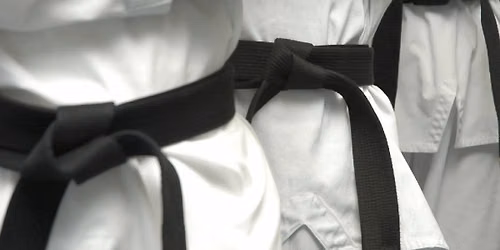 Lower Rank & Black Belt Tests with Grandmaster Sin Th\u00e9