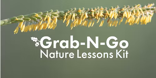 Grab N Go: Engaging Nature Through Art & Story