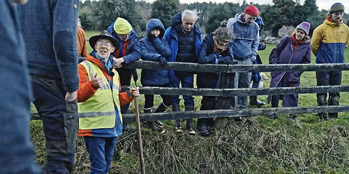 Pond Creation & Water Management with Feidhlim Harty
