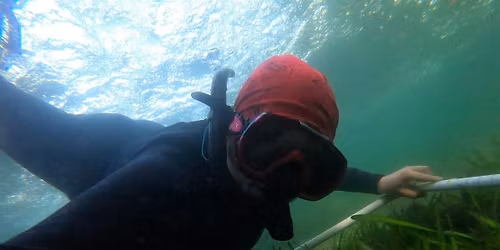 Seagrass Habitat Restoration Workshop