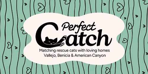 Find Your Perfect CATch Adoption Event