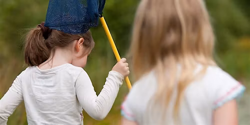 Family Event: Pond Dipping at Sevenoaks Wildlife Reserve