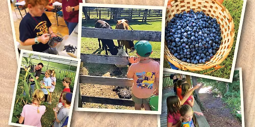 Summer Day Camp at the AG