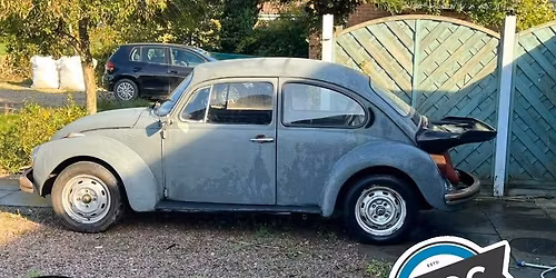 Yearly winter sunrise sea swim!