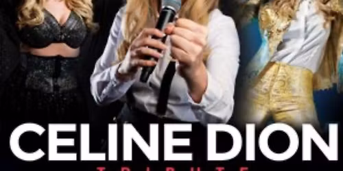 Party night with Lisa Press as Celine Dion!