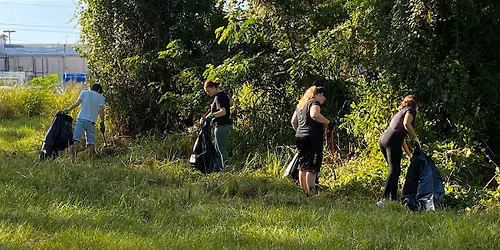 Six Mile Cypress Slough Cleanup