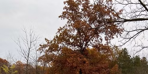 ThanksGraveling 2025