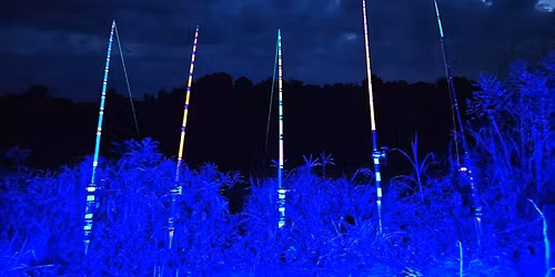 Clarksville Tough Cat, 2025 December\/Championship tournament!