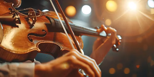 Vivaldi- Die vier Jahreszeiten I Kammerorchester der Neuen Philharmonie Hamburg