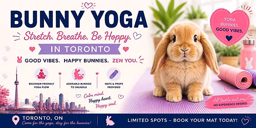 Bunny Yoga in Toronto
