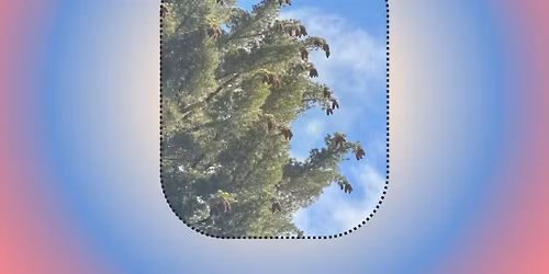 (re)imagine reality therapy workshop