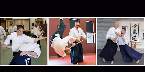 Unusual Suspects - Aikido Principles Seminar