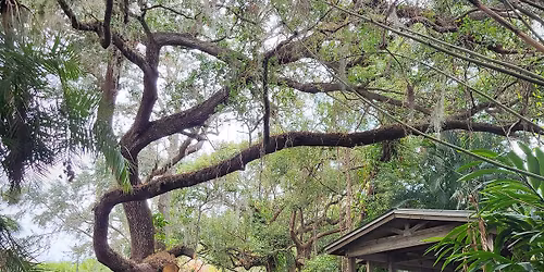 Winter Park Chain of Lakes