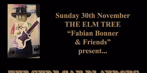 The Sure Can Playboys