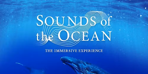 Sounds of the Ocean
