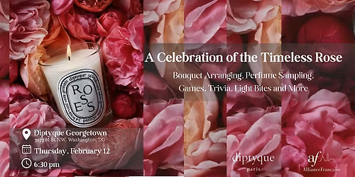 A Celebration of the Timeless Rose