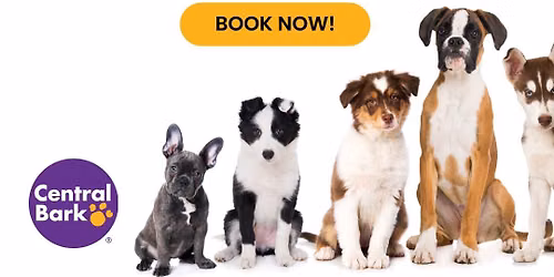Free Puppy Hour at Central Bark Oak Creek!