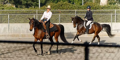 Centennial Celebration  Sunday Horse Show - May 3, 2026