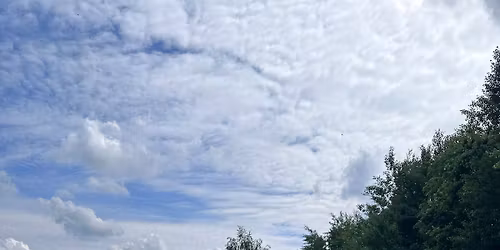 Wellbeing Walk - Greenhead Park, Huddersfield